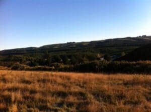 homestead, homesteading in New Zealand