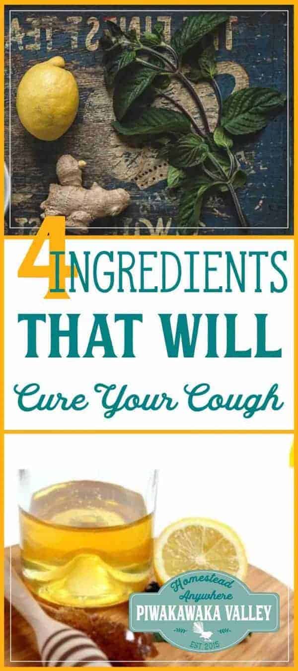 4 Ingredient Effective Natural Homemade Cough Syrup