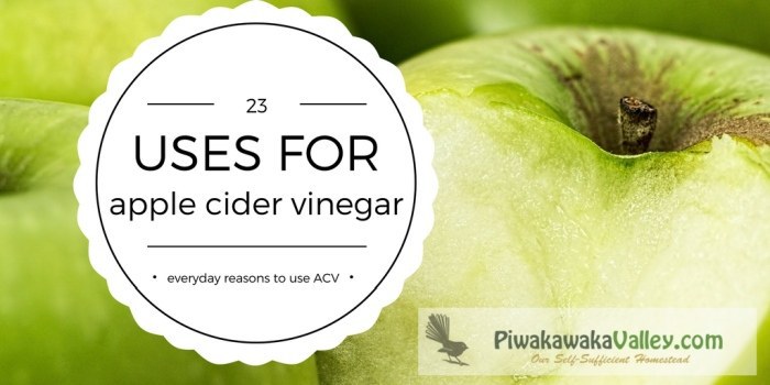 23 uses for apple cider vinegar, apple cider vinegar, ACV