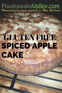 Gluten free spiced apple cake
