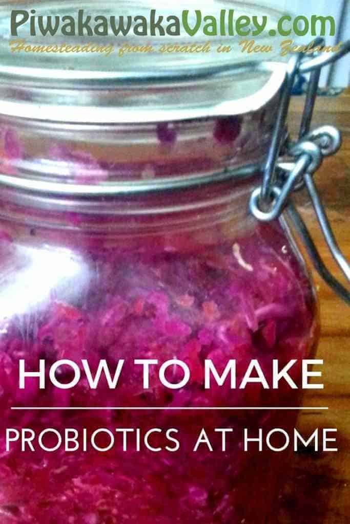 HOW TO MAKE PROBIOTICS AT HOME, ONE SERVING IS LIKE A WHOLE BOTTLE OF PRO-BIOTIC CAPSULES!
