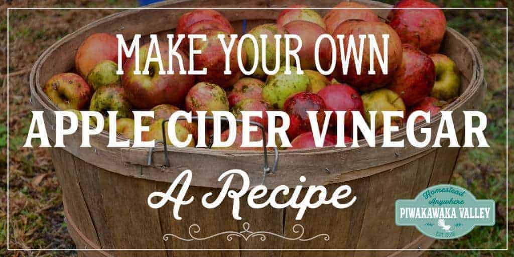 Apple cider vinegar is all the rage in the natural health sector. To buy it with the 'mother' still in it, in ACV's raw state you pay through the nose for it. Did you know you can Make Your Own Apple Cider Vinegar #naturalhealth #makeyourown #acv