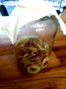 Make your own apple cider vinegar at home