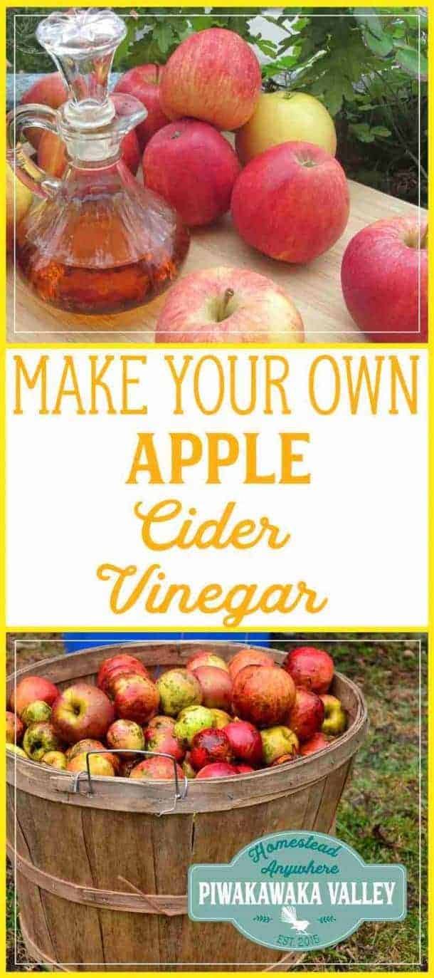 How To Make Apple Cider Vinegar With The Mother From Apple Scraps