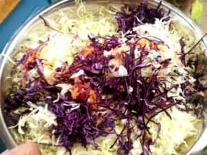 how to use cabbage to make sauerkraut