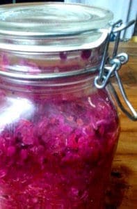 how to use cabbage to make sauerkraut