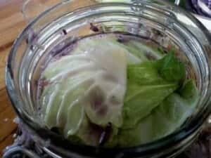 how to use cabbage to make sauerkraut