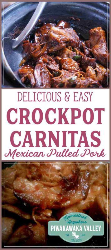 We love Mexican food! These crockpot carnitas are super duper quick to throw together, and is soooo delicious. You can use the same recipe to make chicken carnitas too. Try it tonight or save it for later! #recipe #mexican #crockpot #slowcooker #pork