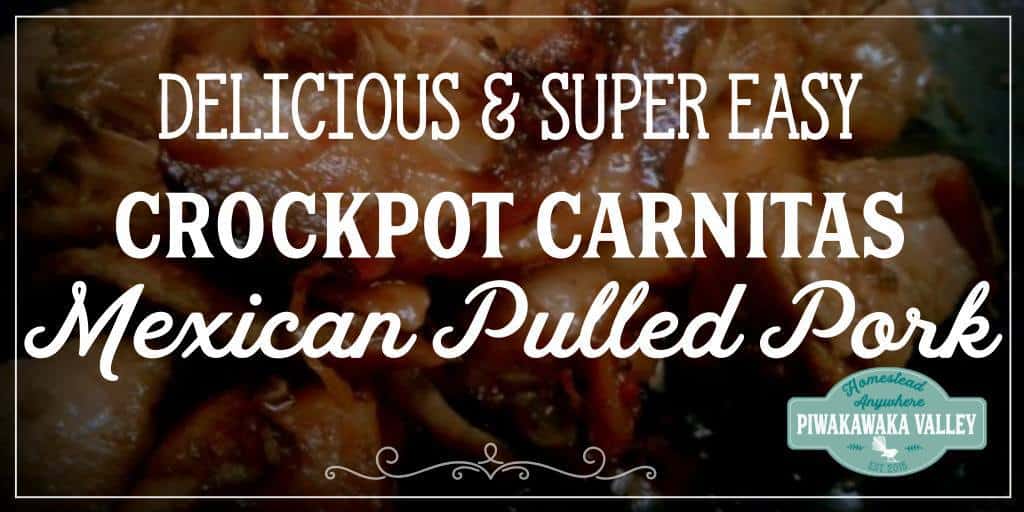 We love Mexican food! These crockpot carnitas are super duper quick to throw together, and is soooo delicious. You can use the same recipe to make chicken carnitas too. Try it tonight or save it for later! #recipe #mexican #crockpot #slowcooker #pork