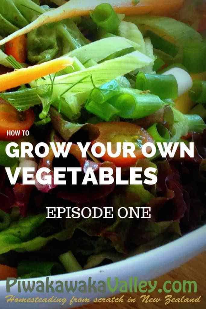 Want to be more self sufficient, but don't know how? Here is the ultimate series for Starting a Vegetable Garden.