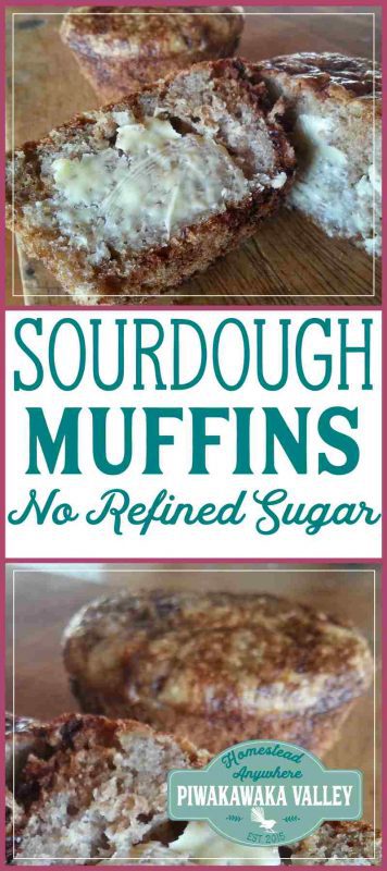 sourdough muffins recipe