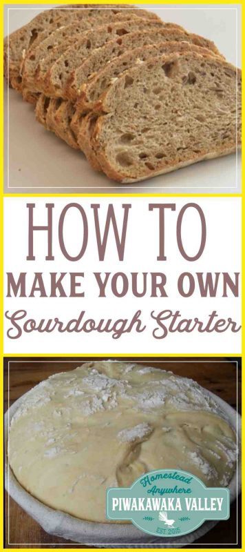 Guide to Making Your Own Sourdough Starter at Home | Make ...