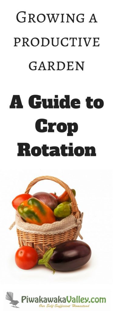 Crop rotation is a simple concept often made difficult. With a good permaculture crop rotation system you will develop a productive garden.