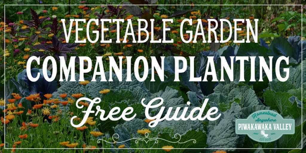 Vegetable Garden Companion Planting Chart For Vegetables And Herbs