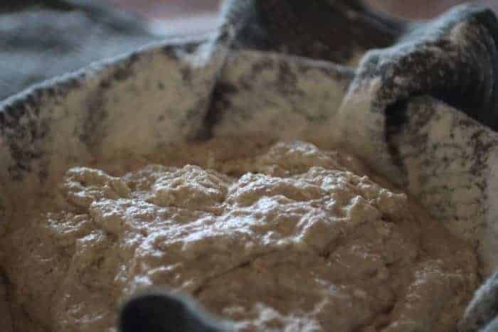 Super easy No Knead Wholemeal Sourdough