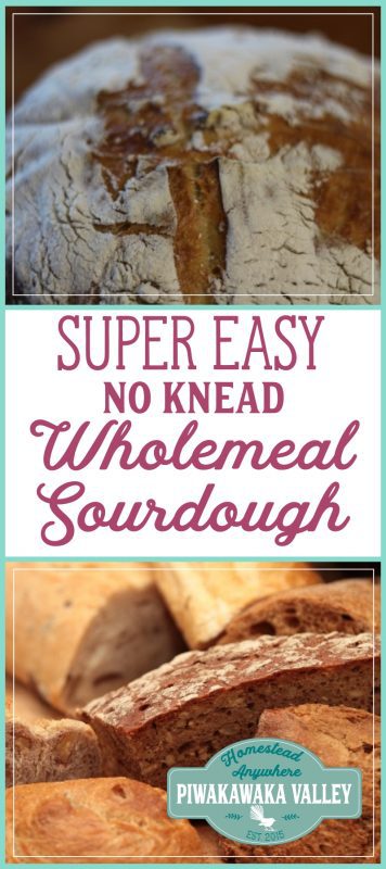 Are you too busy to make real bread? I bet you have time to make this! A super easy, no knead, wholemeal sourdough bread recipe made with you in mind. This delicious, chewy bread is simple and takes no fancy ingredients. Try it today or pin it for later. #bread #sourdough #homesteading #recipe