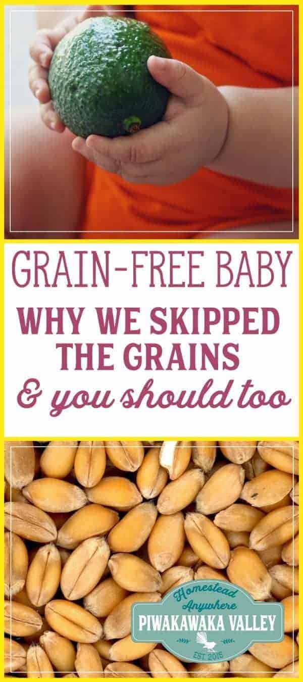 Weaning Babies Without Grains Grain Free Baby Food
