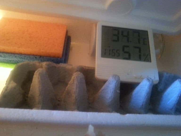 How to Make an Incubator DIY Egg Incubator Step by Step with Pictures!