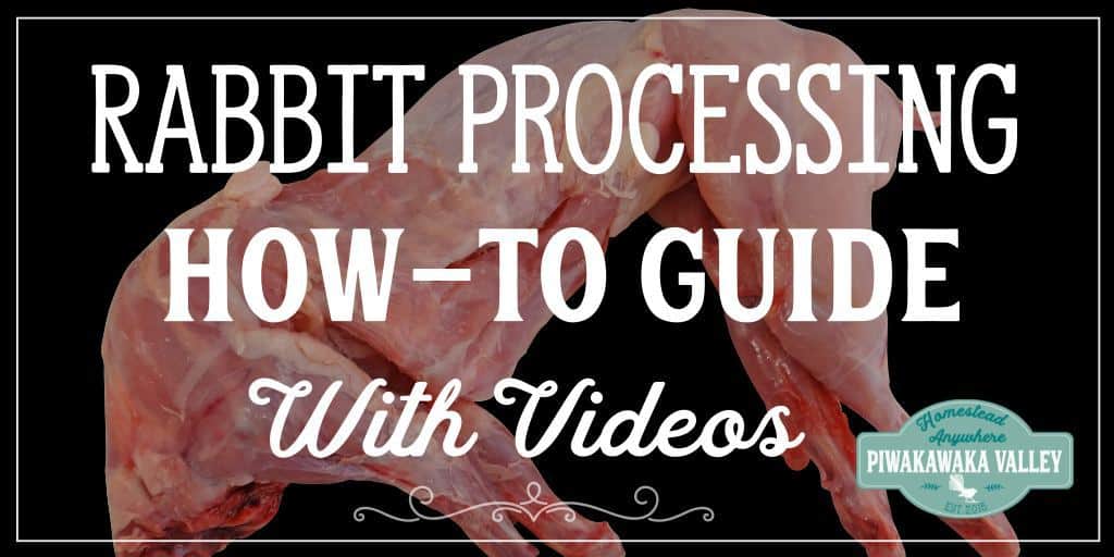 A complete how-to guide on slaughtering, harvesting and processing rabbits. With Videos. #meatrabbits #colonyrabbits #homesteading