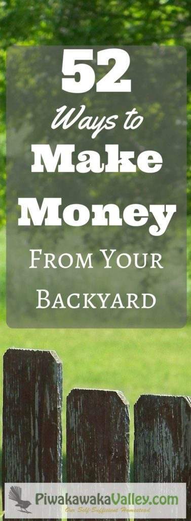 making money from homesteading in your own backyard is the ultimate dream. Here are 52 ways to make money from your homestead or even small backyard. Make Money Homesteading.