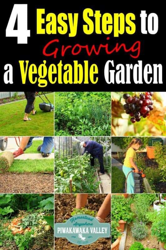 4 Easy steps to start a vegetable garden from scratch, a beginners guide to growing your own vegetables and food plants at home. Become more self sufficient this season and grow some veggies in your own garden. #beginnergarden #piwakawakavalley