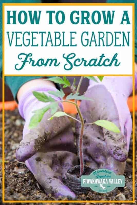How to start a vegetable garden from scratch, a beginners guide to growing your own vegetables and food plants at home. Become more self sufficient this season and grow some veggies in your own garden. #beginnergarden #piwakawakavalley