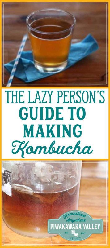 10 Easy steps to making kombucha at home. Making kombucha is much easier than you might think. There are so many technical guides out there telling you how to make kombucha, you can be forgiven for being confused. This lazy persons guide to making kombucha removes all the fancy fluffing around and just makes simple, good, tasty kombucha. Find out how! #kombucha #fermenting #homesteading #naturalhealth #probiotics