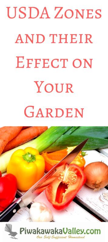 The first thing you need to find out is roughly what USDA Zone you live in. USDA Zones are divided up based on your area's average temperatures over the last 30 or so years. Knowing what zone you are in will ensure you are planting the right plants at the right time of year for optimal success.