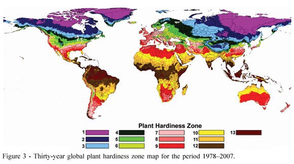 USDA ZONE