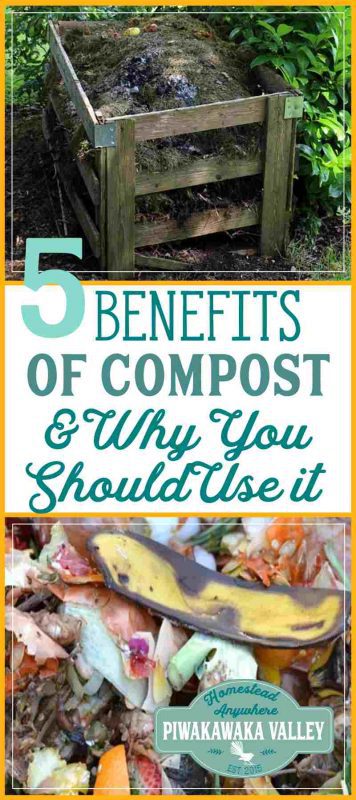 I love using compost on my garden! The benefits to having your own compost in your garden is huge. Here at 5 of the best reasons why you should be making your own compost.