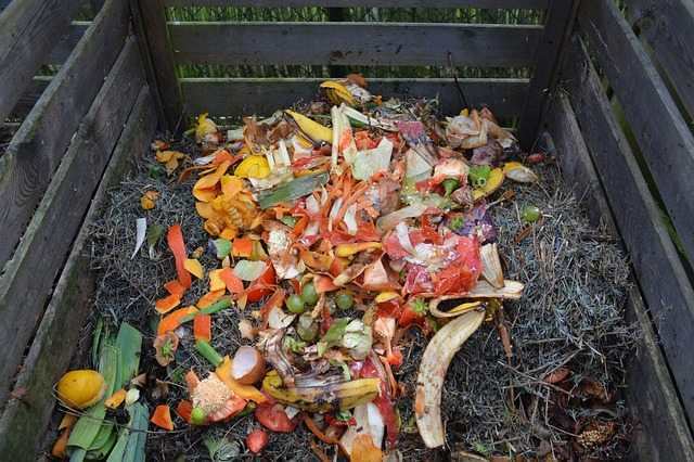 The benefits to having your own compost in your garden is huge. Here at 5 of the best reasons why you should be making your own compost.