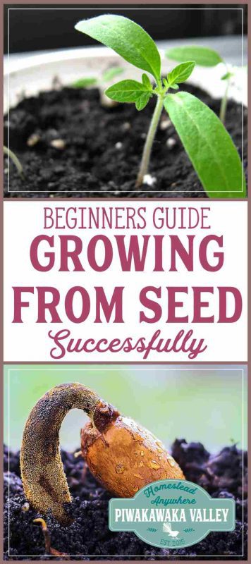 Do you want to grow a garden, but aren't sure where to start? Our seed sowing guide for beginners with give you the tips on tricks you need to sow your own seeds #garden #vegetablegarden #homesteading #sustainability