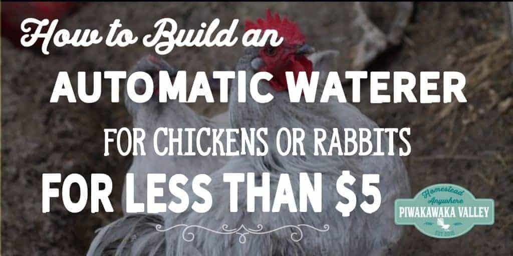 Automatic watering systems take the worry out of watering the animals. An auto waterer can last for several days and it keeps rabbits and chickens from making the water dirty or tipping it out. To make this automatic waterer I used a few things that I had laying around, but you could easily replace these with things you have or can make.