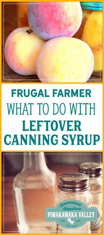 Super frugal tip: How to use leftover canning syrup for something productive! Fruit vinegar recipe. fermented foods, fermented pickles, sea salt fermented vegetables, fermented recipes, easy fermentation for beginners, how to ferment vegetables, fermentation tips, step by step fermenting food, health, families, immune system, gut health, gut biome, natural health, weston price, whey fermenting vegetables to preserve them. #ferment #guthealth #kombucha #fermenting #homesteading #naturalhealth #probiotics #fermented #traditional 