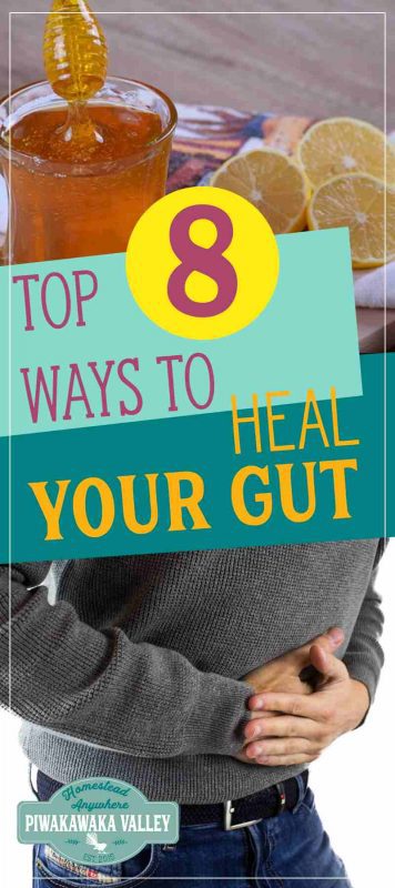 Here are the 8 things that I did in our household to improve our gut health and cure the digestive issues that we had. Hubby has IBS and allergies and I have autoimmune issues. These natural methods have helped both of us! #naturalhelath #guthealth #probiotics