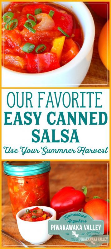 Canned salsa promo image