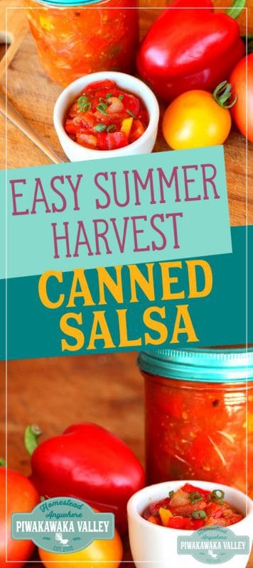 Make some salsa for preserving your Summer harvest.. This canned homemade Summer Harvest Salsa is so easy to make and delicious as well. #recipe #preserve #canning #mexicanrecipe #salsa