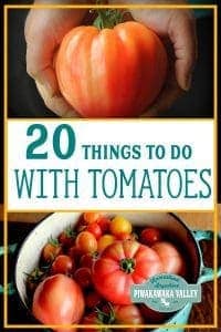 What to do with too many tomatoes