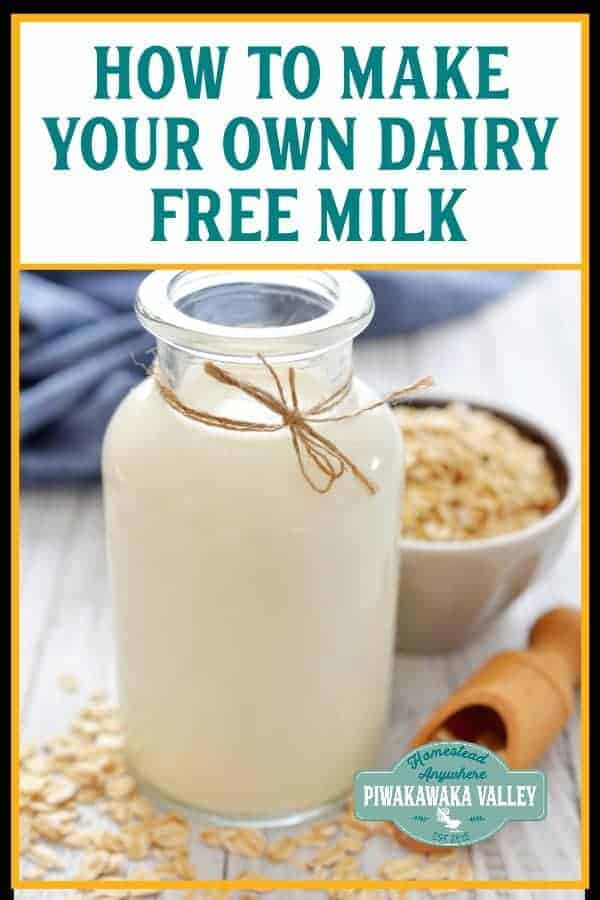 How to make nut or seed milk at home