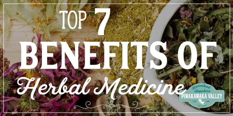 7-benefits-of-herbal-medicine-the-risks-and-benefits-of-home-remedies