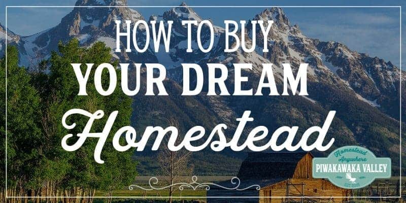 Buying a homestead is the dream of many. It does come with its own risks and benefits. If you buy the wrong block of land, you will be stuck with the consequences for a long time to come. It is important to think very carefully before buying a block of land. Buying rural land is very different to buying in the city, and the bigger the plot, the more there is to consider. #piwakawakavalley #homesteading #homestead #rurallife