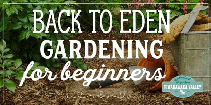 Back to Eden Gardening is a method of no till and minimal input gardening that is a great and productive way of growing lots of vegetables from your backyard. This beginners guide will show you how BTE gardening can work at your place. #backtoedengarden #vegetablegardening #piwakawakavalley