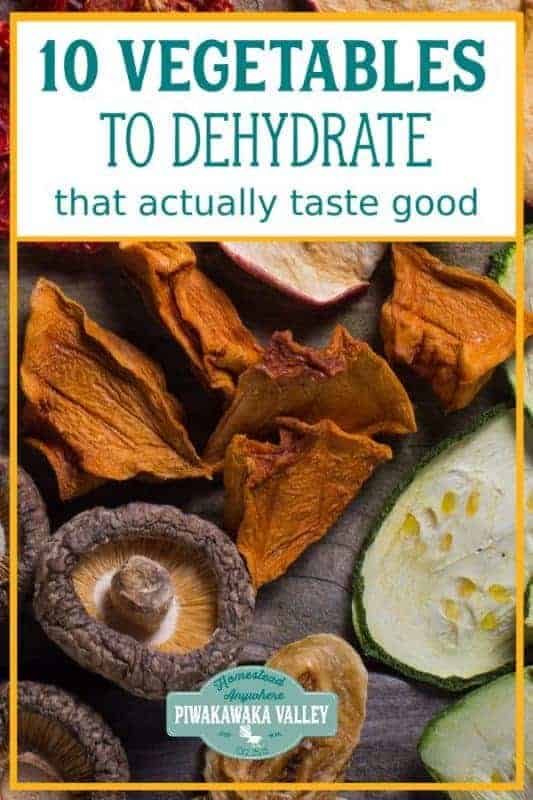 10 Vegetables you can Dehydrate from your Garden that Actually Taste Nice