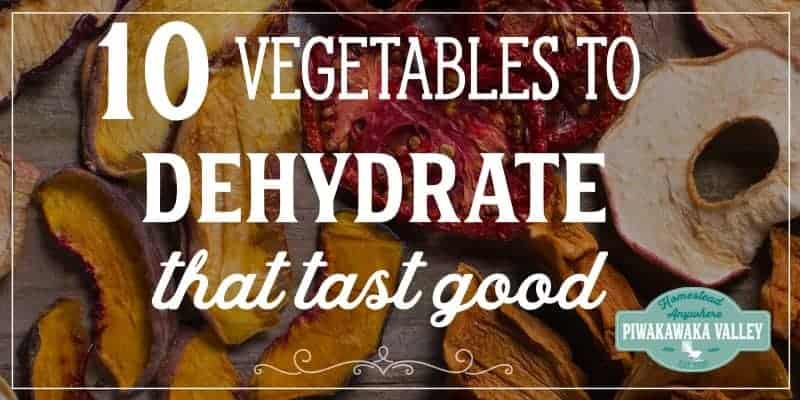 Let's face it some dehydrated vegetables and fruit are simply gross. Here are 10 vegetables that you can dehydrate and how to use them that actually taste nice. Perfect for storing the harvest or for keeping your produce that you grew in your garden at home! #foodpreservation #piwakawakavalley