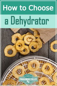 How to choose the best dehydrator for the homestead