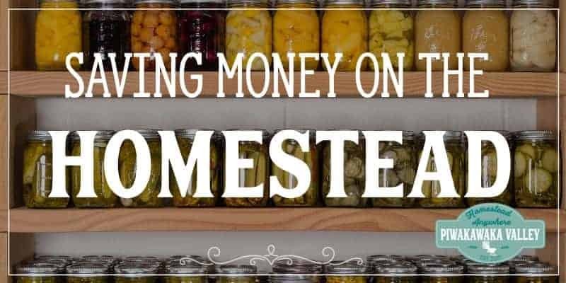 20 ways you can save money on the homestead. Frugal living is no joke! Homesteading can be expensive, but follow these frugal living hacks and watch the savings grow! #piwakawakavalley
