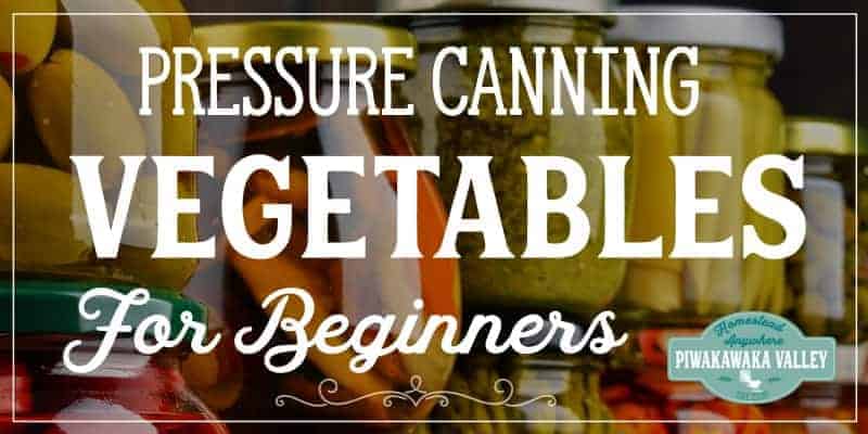 Pressure canning vegetables for beginners the complete guide #piwakawakavalley