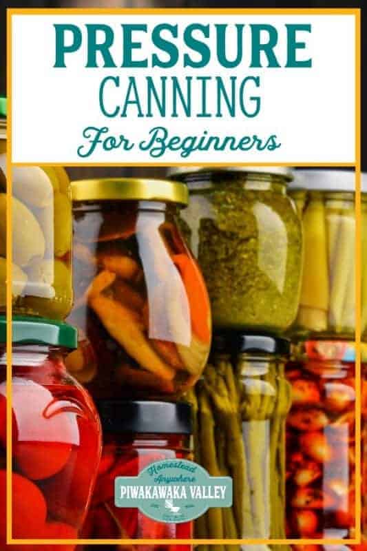 Pressure canning vegetables for beginners the complete guide #piwakawakavalley