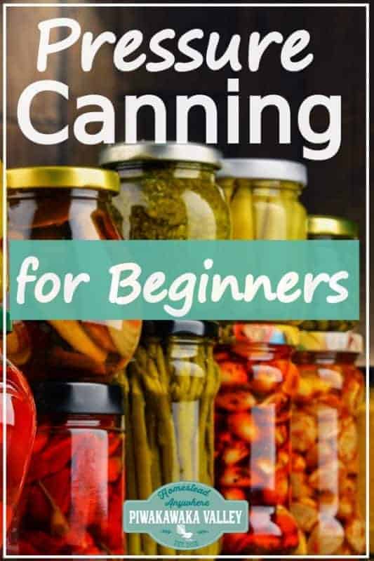 Don't do it wrong! Pressure canning vegetables for beginners the complete guide #piwakawakavalley