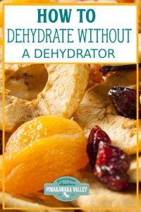 Dehydrating vegetables and fruit is a great way of preserving them without taking up much space. Here are some ideas for dehydrating without a dehydrator by using an oven or several other dehydration methods! #piwakawakavalley